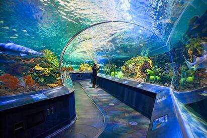 Ripley’s Aquarium of Canada Toronto