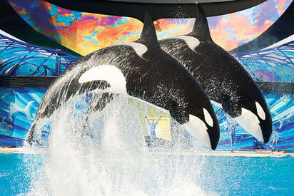 Seaworld San Antonio San Antonio