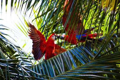 Soberania National Park Panama City