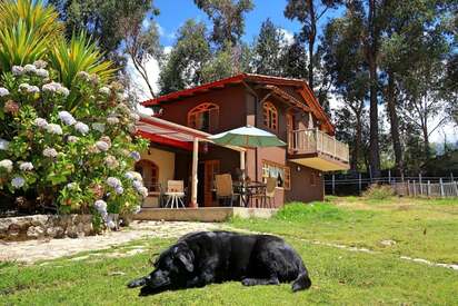 The-Lazy-Dog-Inn-a-Mountain-Lodge-Huaraz