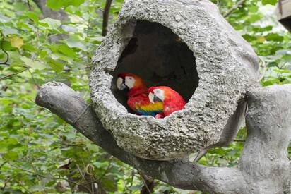 The Zoo at the Parque Histórico Guayaquil