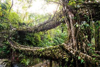 Umshiang Double Decker Root Bridge Meghalaya - Lowest Flight Fares Umshiang Double Decker Root Bridge Meghalaya