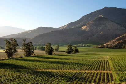 Valle del Maipo Chile 