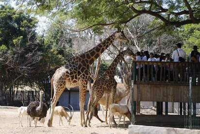 Zoológico de Culiacán