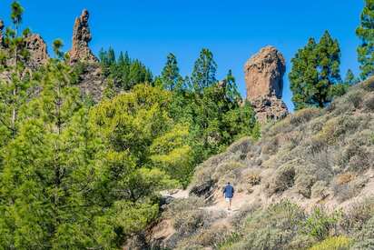 Caminata Privada y VIP a la medida del Roque Nublo Palmas