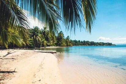 slipper island Bocas del Toro