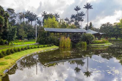 Jardin Botanico de Bogota colombia