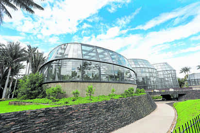 Jardin Botanico de Bogota