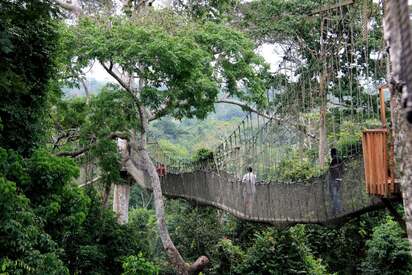 Kakum National Park Ghana