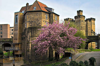 Newcastles Castle Newcastle