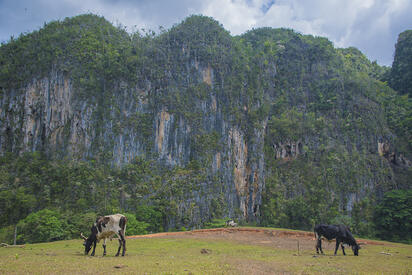 Parque Nacional Vinales cuba