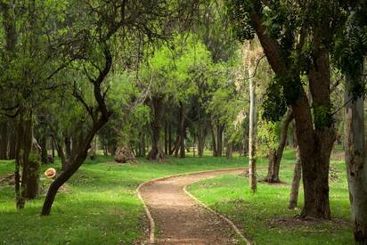 Parque Tangamanga San Luis Potosí - Lowest Flight Fares Parque Tangamanga San Luis Potosí