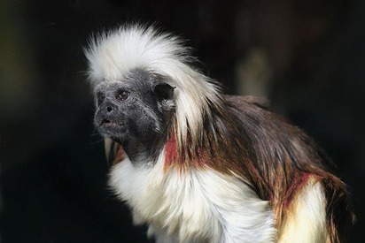 Zoológico Barranquilla