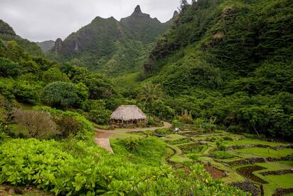 Kauai’S Botanical Garden hawaii