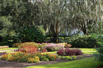 Leu Gardens orlando