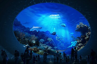 Seattle Aquarium seattle