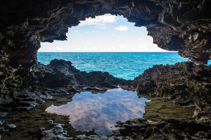 Animal Flower Cave barbados 