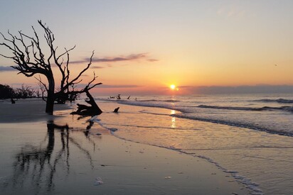 Bull Island Beach