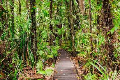 Cairns Botanic Gardens Cairns