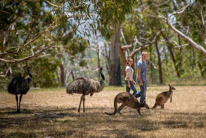 Cleland Conservation Park