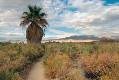 Coachella Valley Palm Springs