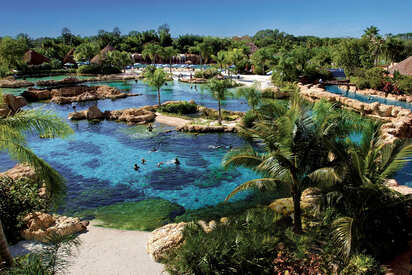 Discovery Cove Orlando