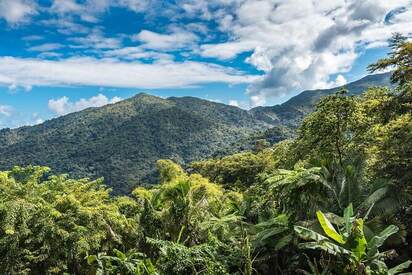 El Yunque National Park