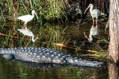 Everglades National Park