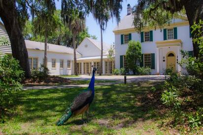 Fort George Island Cultural State Park Jacksonville