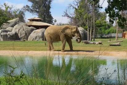 Fresno Chaffee Zoo