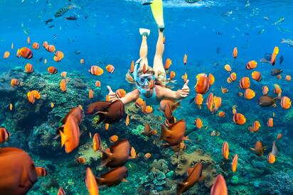 Go Diving Snorkeling Phuket