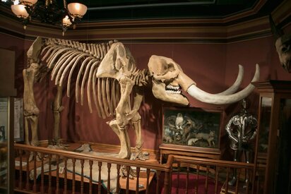 Grand-Rapids-Public-Museum-Grand-Rapids - Lowest Flight Fares