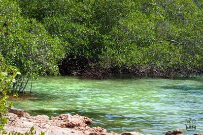 Guanica State Forest