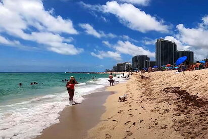 Haulover Beach