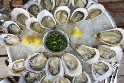 Hog Island Oyster Co.