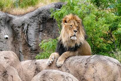 Hogle Zoo Salt Lake City