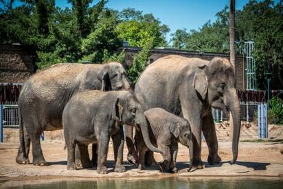 Houston Zoo