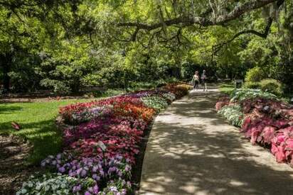 Jardines Harry P. Leu