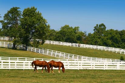 Kentucky Horse Park