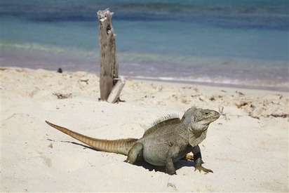 Little Water Cay