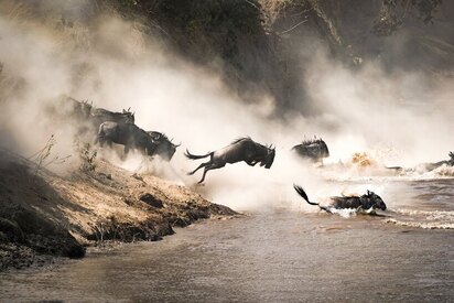 Mara-River-Masai - Lowest Flight Fares Mara River