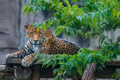 Milwaukee County Zoo