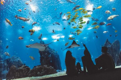 Oceanario de Lisboa 