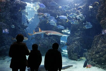 Oceanographic Museum of Monaco - Lowest Flight Fares Oceanographic Museum of Monaco