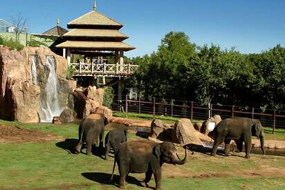 Oklahoma-City-Zoo-Oklahoma - Lowest Flight Fares Oklahoma City Zoo