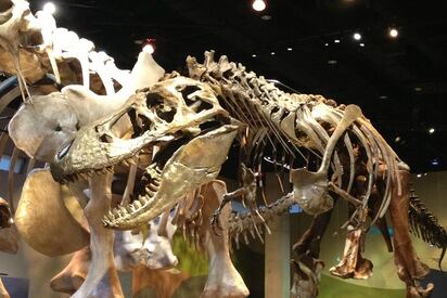 Perot Museum of Nature and Science