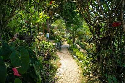 Ras Natango galería y jardín