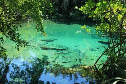 Reserva Ecológica Ojos Indígenas Punta Cana