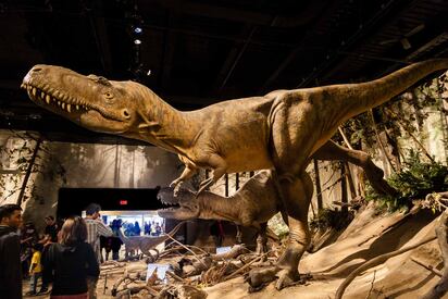 Royal Tyrrell Museum