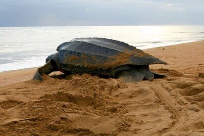 Sandy Point National Wildlife Refuge